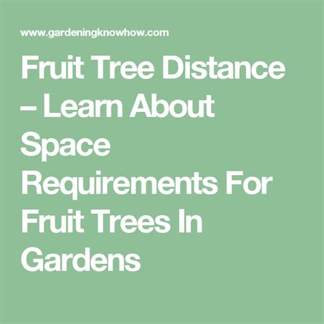 Fruit Tree Distance Learn About Space Requirements For Fruit Trees In