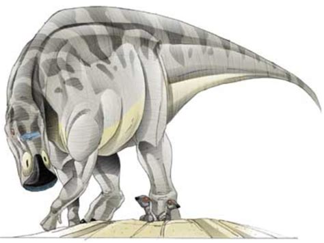 Maiasaura Jurassic Park Wiki Fandom