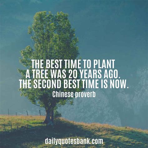 100 Inspirational Quotes About Planting Trees For Future Generations