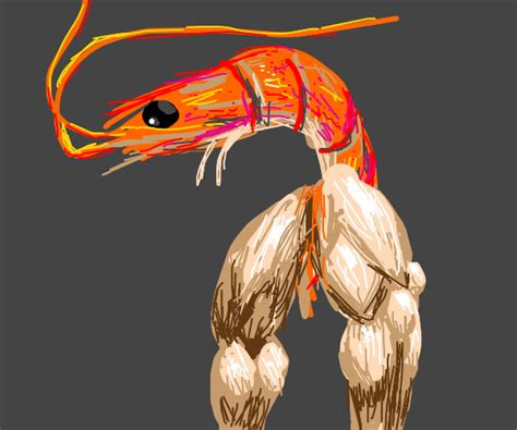 Shrimp With Muscular Legs Drawception
