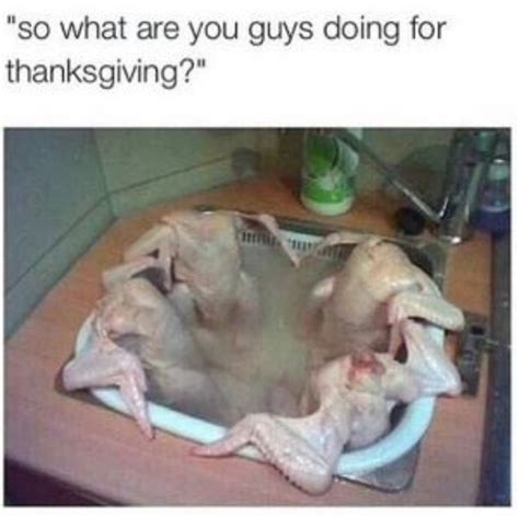 pin by megan on lmfaoooo i m ded funny turkey pictures funny turkey funny thanksgiving