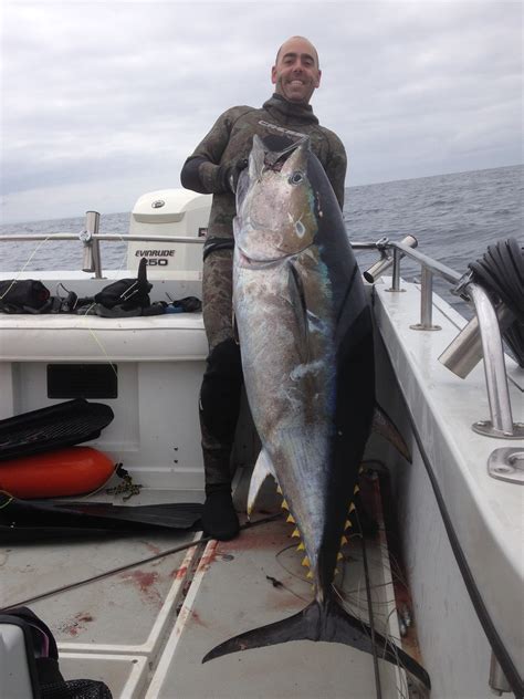Spearfisher Makes Record Tuna Catch | San Clemente Times