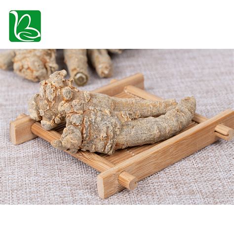 San Qi Herb Safety Natural Ingredients Dried Panax Notoginsen G Root