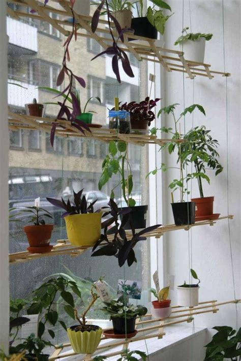 Diy Instant Hanging Shelves For Houseplants Gardenista