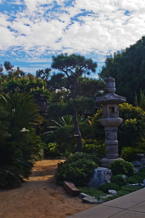 Maybe you would like to learn more about one of these? South Bay Botanic Garden, Palos Verdes Peninsula | I am ...