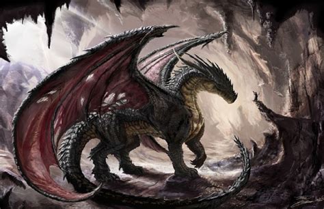 Dragon De Terre Dragon Artwork Fantasy Art Fantasy Creatures