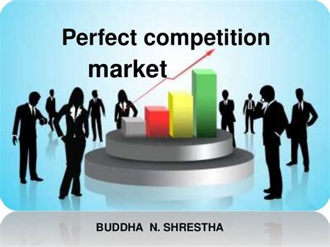 Perfectly Competitive Market Examples Solved Consider A Perfectly