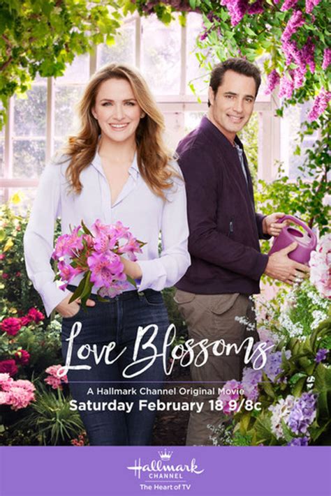 Love Blossoms 2017 Dvd Planet Store