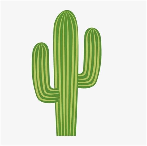 Cactus Png Clipart Cactus Cactus Clipart Cartoon Plant Free Png