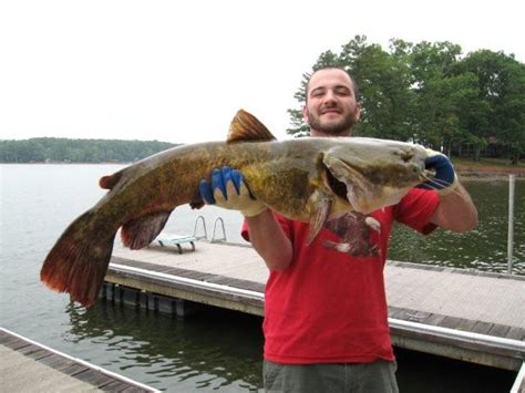 Come enjoy the taste of mexico with a large menu and food selection! Salisbury / Spencer / Rowan County Information OnLine ...