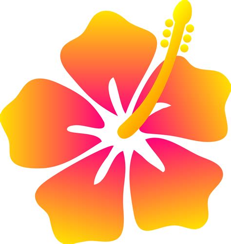 Hibiscus Clipart Flower Samoan Hibiscus Flower Samoan Transparent Free
