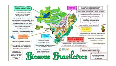 Mapa mental Biomas brasileiros Baixe grátis o mapa mental em PDF