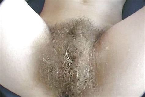 Hairy Pussy I D Like To Bury My Face In 112 Pics XHamster