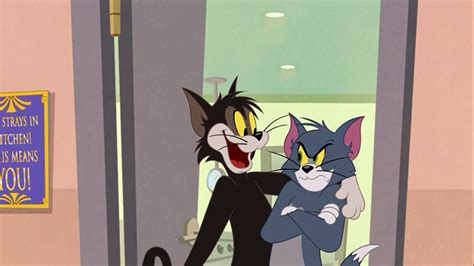 Tom And Jerry In New York 2021