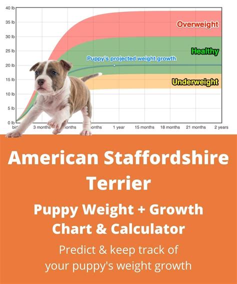 Submitted 26 days ago by starsdustnew owner. American Staffordshire Terrier Weight+Growth Chart 2021 ...