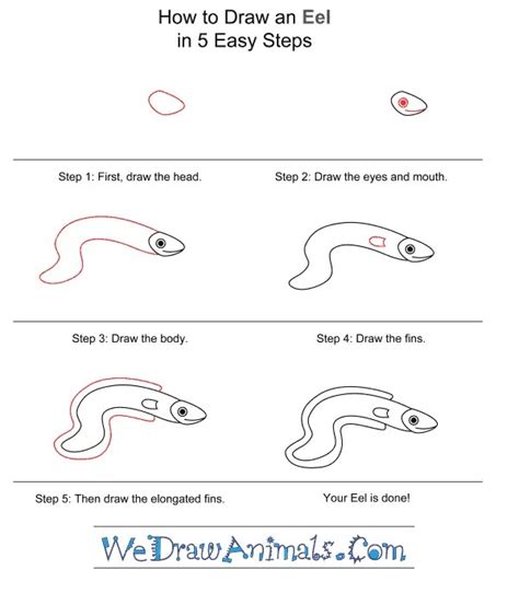 How To Draw An Eel Step By Step At Drawing Tutorials