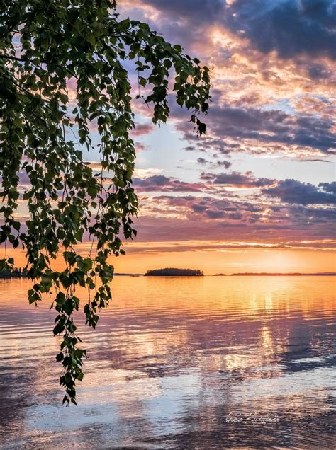 Summer Sunset Finland By Asko Kuttinen Summer Sunset Sunset