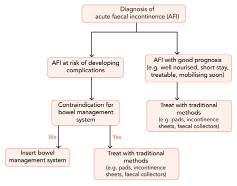 Bowel Management Systems And Acute Faecal Incontinence Theguidewire