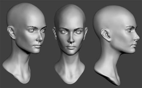 Female Head Sculpt By X32lapis Anatomy Sculpture Head Anatomy