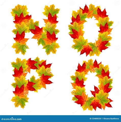 Autumn Alphabet Stock Photo Image Of Maple Bloom Color 33480028