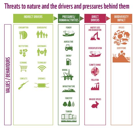 Nature Loss And Financial Risk Global Insights From The Wwf