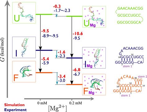 Theory And Simulations For Rna Folding In Mixtures Of Monovalent And