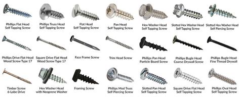 Different Types Of Screws Wood Screws Screws And Bolts Nails And Screws