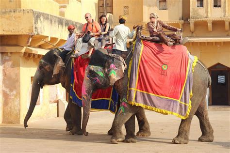 Paseos En Elefante En La India India Mágica