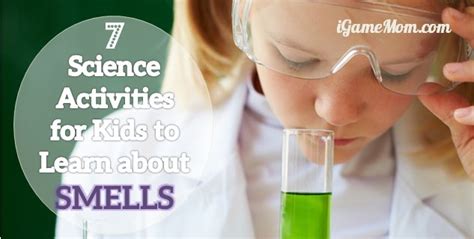 7 Science Experiments To Learn The Sense Of Smell