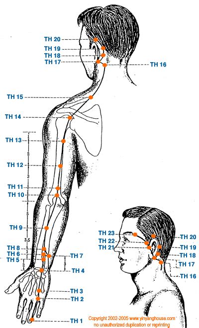 Chart W Link To Interactive Informative Charts Of Acupuncture Points