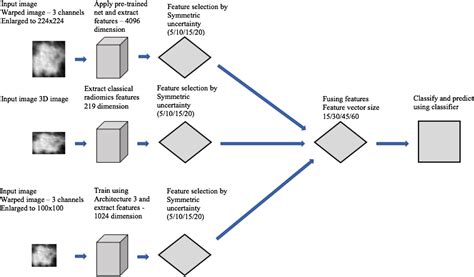 predicting malignant nodules by fusing deep features with classical radiomics features