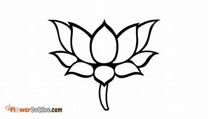Outline Drawing Blossom Lotus Cherry Clipartmag