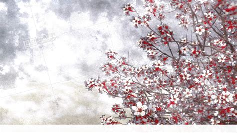 Sakura Cherry Blossom Watercolor Background Stock