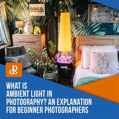 What Is Ambient Light In Photography An Explanation For Beginner