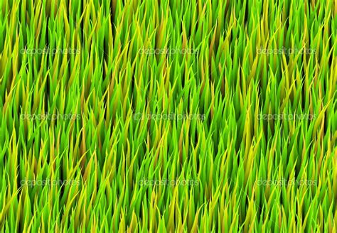 Green Grass Patch Background — Stock Photo © Kentoh 23775747