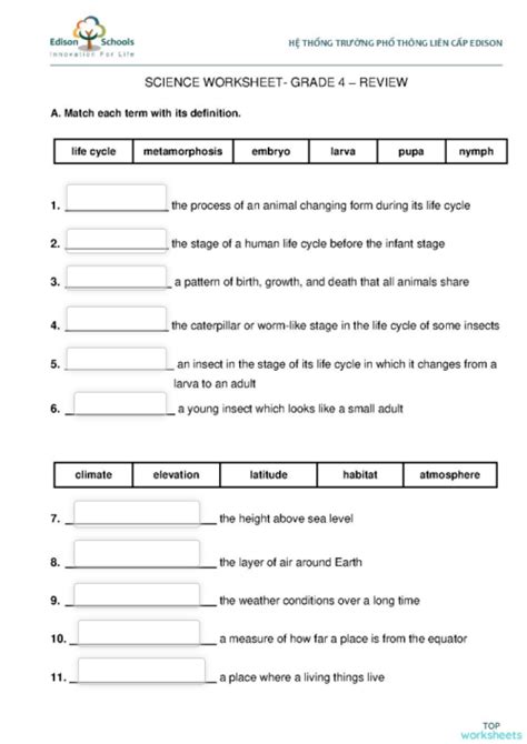 Science Review Grade 4 Worksheet 4th Grade Science Worksheets Word
