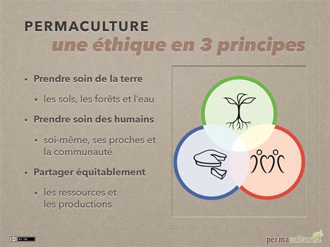 Introduction à La Permaculture