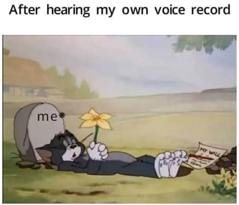 Top 182 Funny Memes On Tom And Jerry