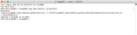 So i need to find a way to open the.bash_profile file. vue.js - -bash : vue: command not found - Stack Overflow