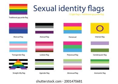 Sexual Identity Pride Flags Set Lgbt Stock Vector Royalty Free