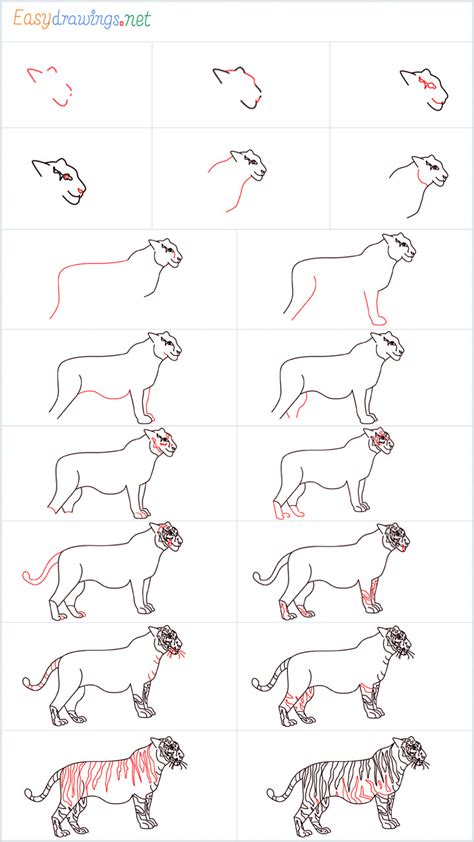 How to draw animals playlist: How to Draw a Tiger step by step - 18 Easy Phase