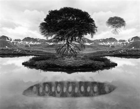 Jerry Uelsmann Untitled 1969 Floating Tree 1969 Available For