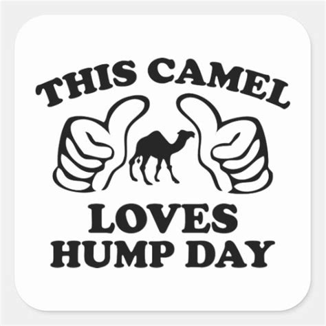 This Camel Loves Hump Day Square Stickers Zazzle