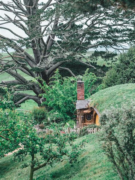 Hobbiton With Kids Things To Know Before You Go Plan Your Trip Trip