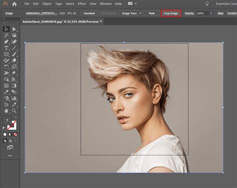 How To Crop In Illustrator