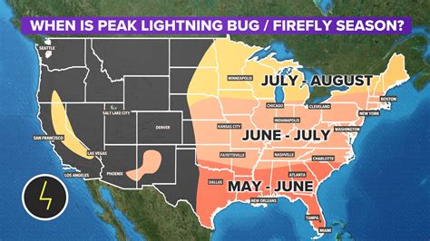 When Is Peak Lightning Bug And Firefly Season In The U S Newsonline Com