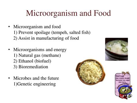ppt mic159 microbial world powerpoint presentation free download id 2687619