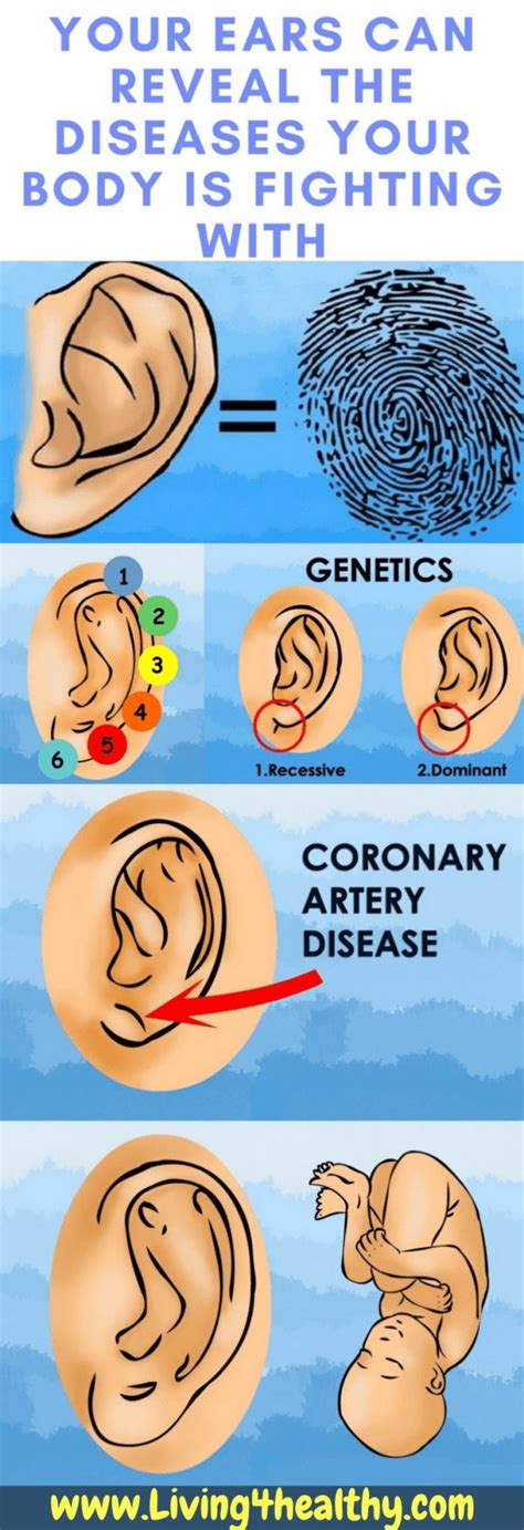 Your Ears Can Reveal The Diseases Your Body Is Fighting With Health