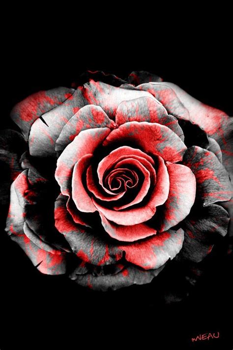 Painted Rose Black Rose Tattoos Purple Rose Tattoos Red Rose Tattoo
