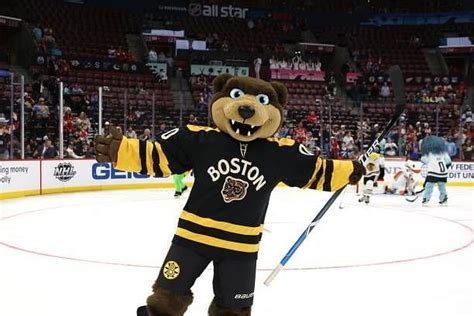 Who Is The Boston Bruins Mascot Blade The Bruin